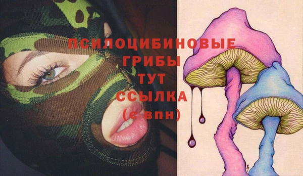 стаф Верхний Тагил