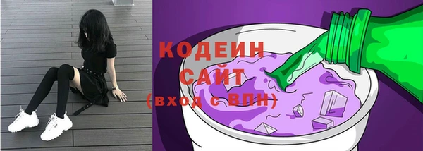 spice Богородск