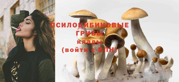 стаф Верхний Тагил