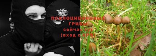 стаф Верхний Тагил