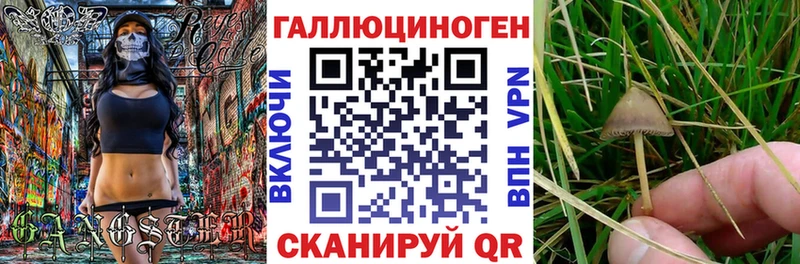 Псилоцибиновые грибы Magic Shrooms  Каргат 
